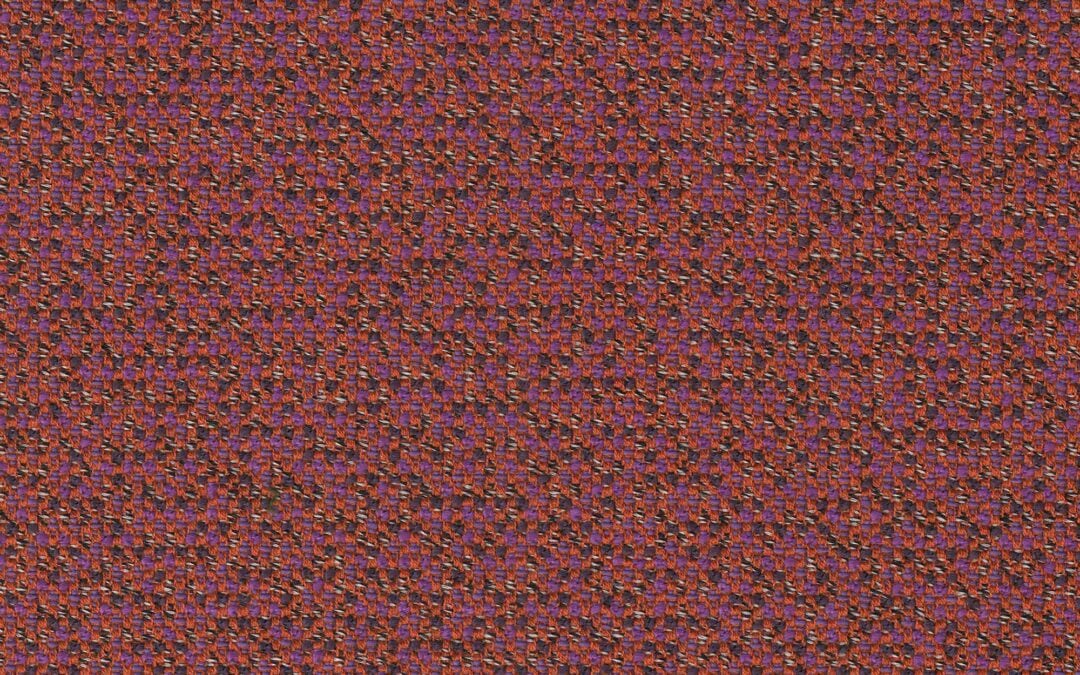 Rohi